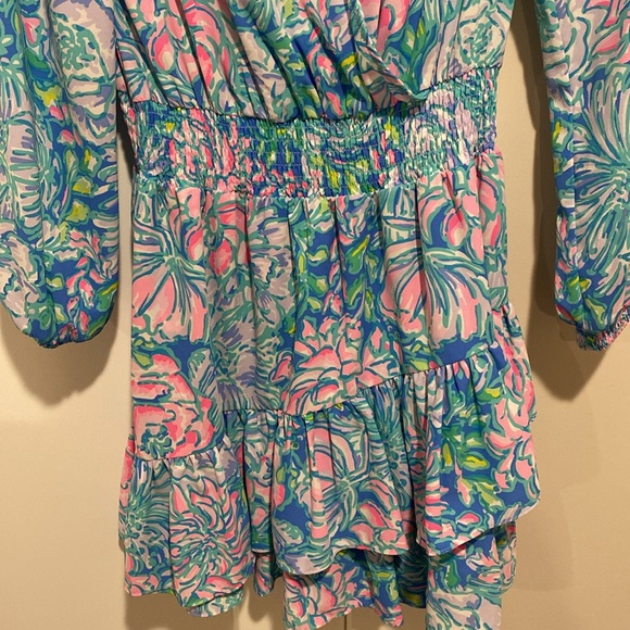 Lilly Pulitzer Dress - Picture 3 of 7